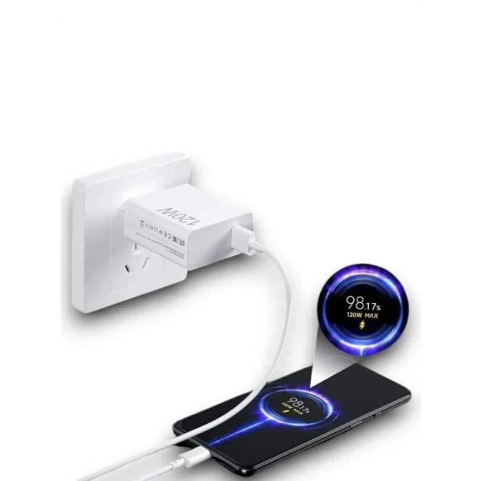 BUĞZ 120W ŞARJ ALETİ - Lisinya