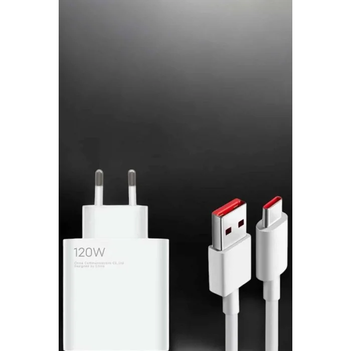 BUĞZ 120W Şarj Aleti Type-C Uyumlu Turbo Şarj Aleti - Lisinya