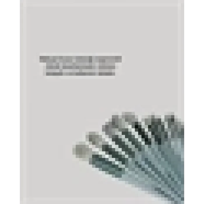  13lü Fiber Kıllı Yumuşak Makyaj Fırçası Seti Taşınabilir ve Ergonomik Tasarım