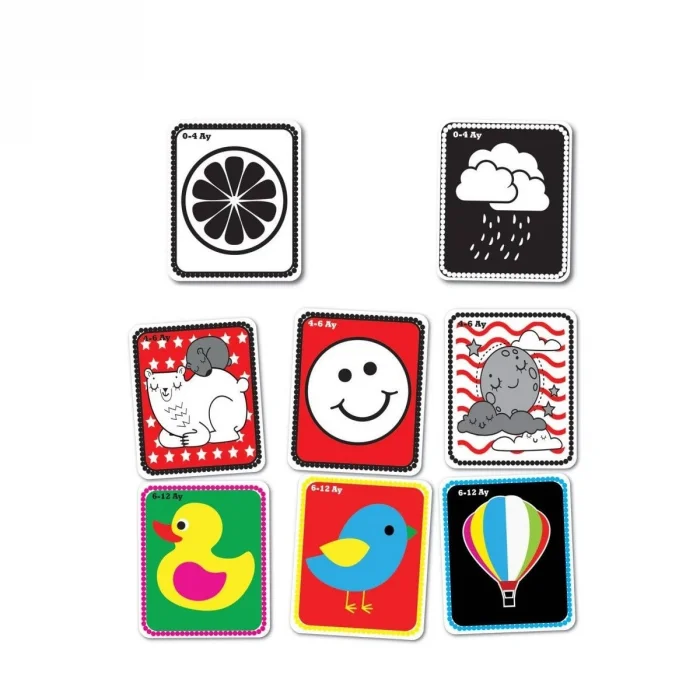 BUĞZ 1369 F.CARDS BEBEĞİMİN İLK ZEKA KARTLARI