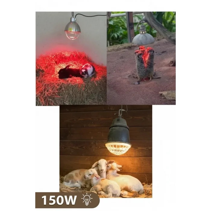 BUĞZ 150W Kızılötesi (infrared) Isıtıcılı Hayvan Isıtma ve Kuluçka Lambası (Kırmızı Işık) E27 (Kalın Duy)
