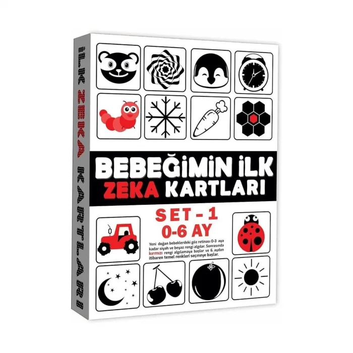  2199 Eğitici Kartlar 0-6 Ay Zeka Kartları