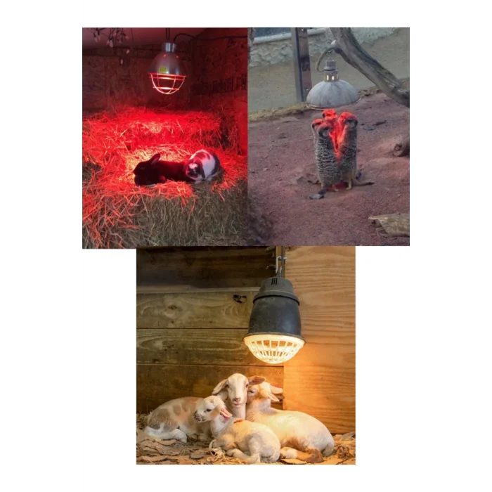 BUĞZ 250W Kızılötesi (infrared) Isıtıcılı Hayvan Isıtma ve Kuluçka Lambası (Kırmızı Işık) E27 (Kalın Duy)