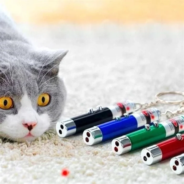 BUĞZ 3 Fonksiyonlu Kırmızı Beyaz Işıklı Led Lazer Kedi Köpek Oyuncak Anahtarlık