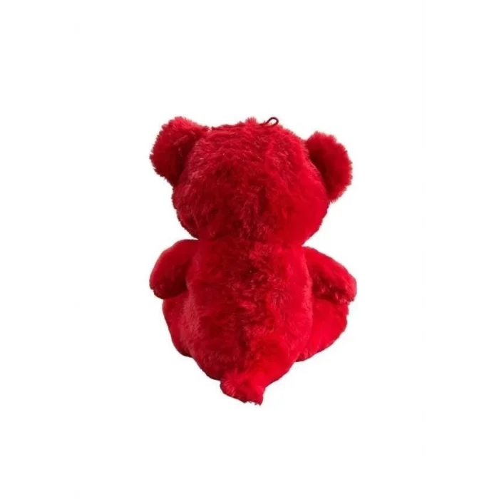  30 CM AY YILDIZ TEMALI AYICIK -HLY