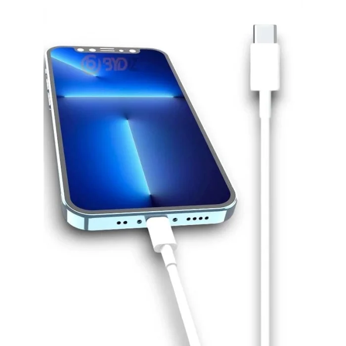 BUĞZ 30W ŞARJ KABLOSU