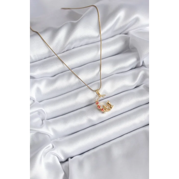 BUĞZ 316L Çelik Gold Renk Hilal Kedi Model Zirkon Taşlı Detay Kadın Kolye - Lisinya