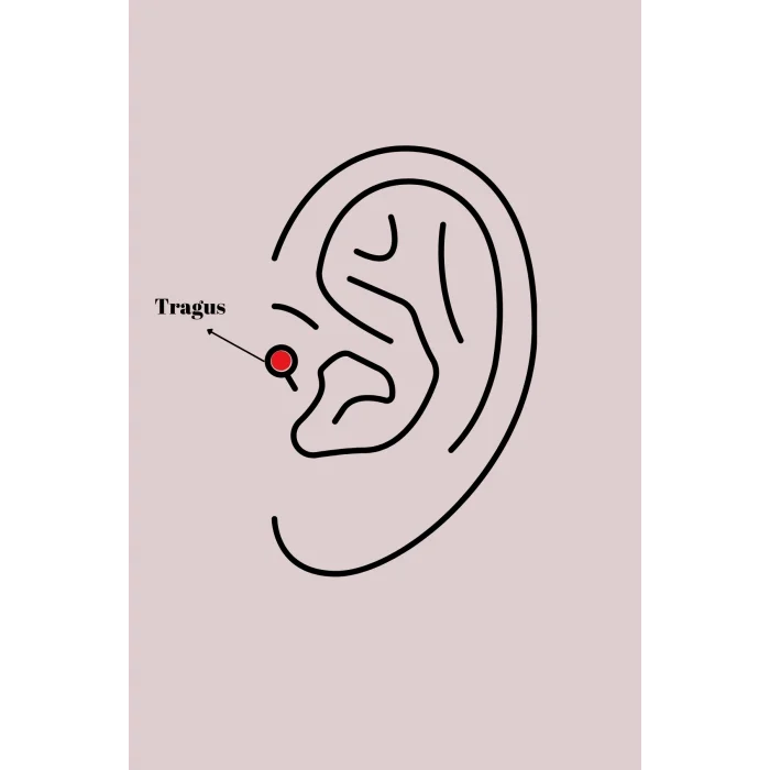 BUĞZ 316L Çelik Gümüş Renk Kırmızı Mineli Kalp Tragus Piercing