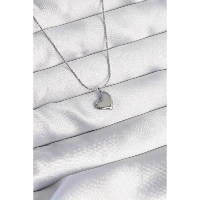 BUĞZ 316L Çelik Gümüş Renk Minimal Kalp Tasarımlı Kolye