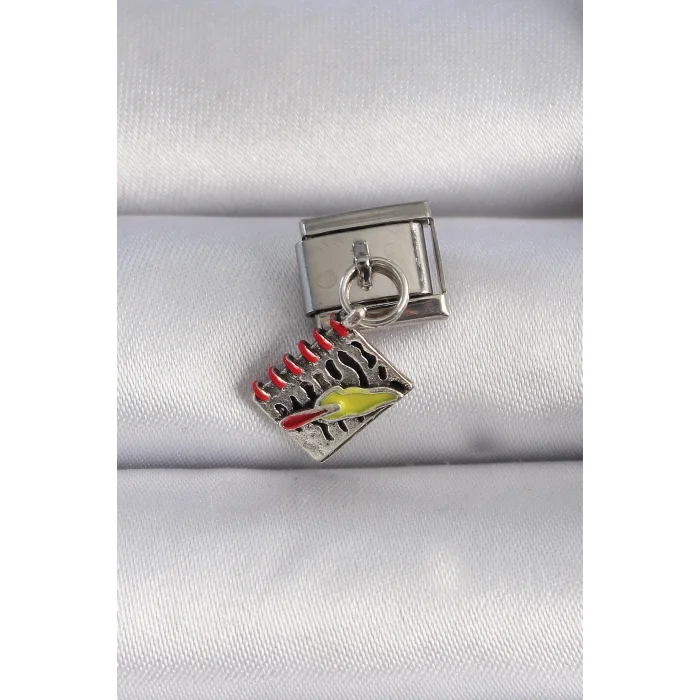 BUĞZ 316L Çelik Gümüş Renk Sallantı Defter Figür Nomination Charm