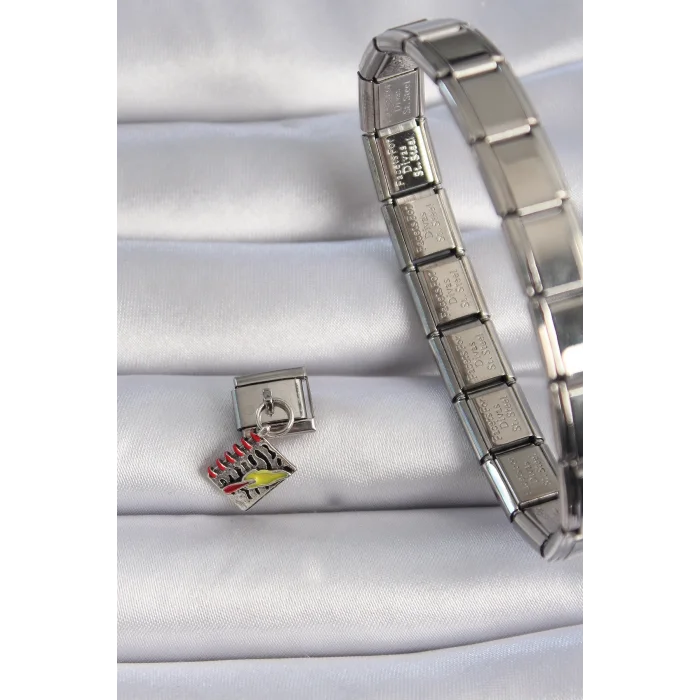 BUĞZ 316L Çelik Gümüş Renk Sallantı Defter Figür Nomination Charm