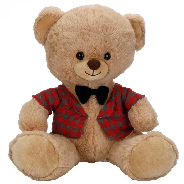 BUĞZ 4810 SUN-JNH-PFF-SK PELUŞ AYI ELBİSELİ 32CM 2A