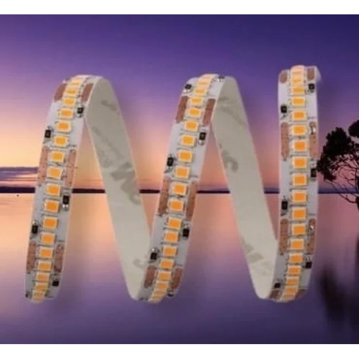 BUĞZ 5 METRE CATA CT 4538 240 Çipli İç Mekan Şerit Led 6400K Beyaz Işık