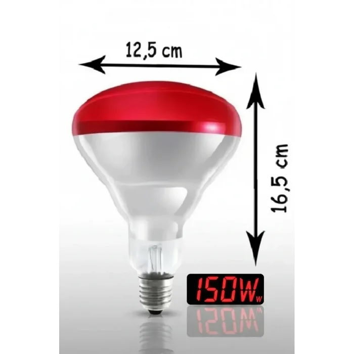 BUĞZ (6 Adet) 150W Kızılötesi Isıtıcılı Hayvan Isıtma ve Kuluçka Lambası (Kırmızı Işık) E27 (Kalın Duy) ( BUĞZ )