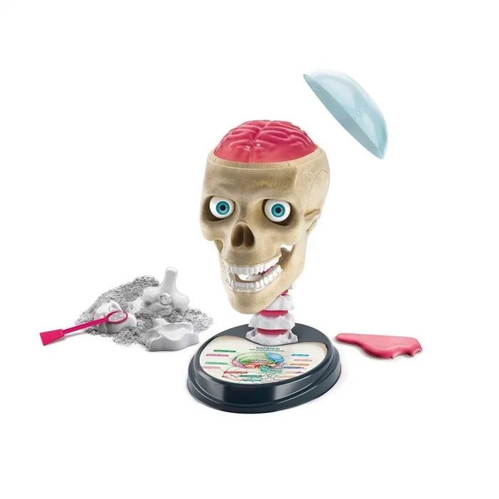  64322 Çılgın Anatomi - Bilim ve Oyun / +7 yaş