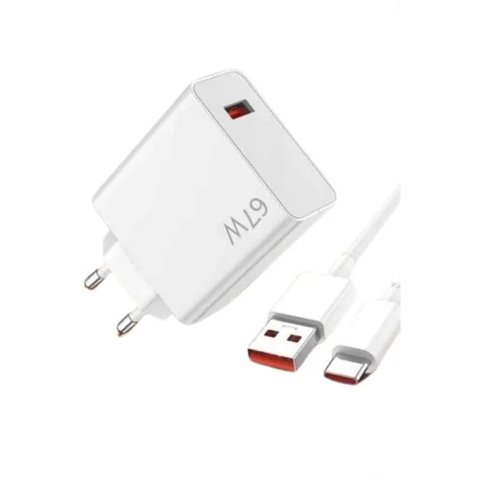 BUĞZ 67W Hızlı Şarj Yüksek Voltaj Korumalı Type C Şarj Adaptörü - Lisinya