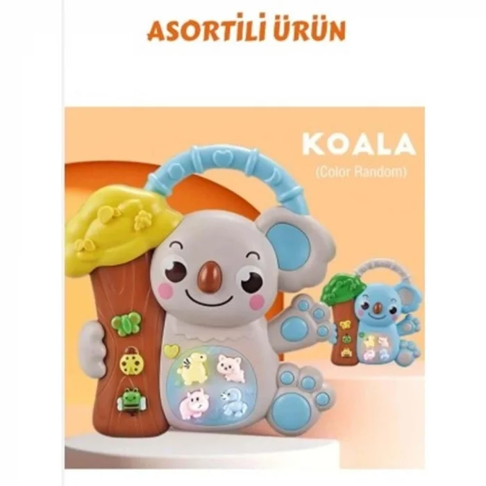 BUĞZ 8808-C KOALALI PİYANO 8 Lİ BOX -CN