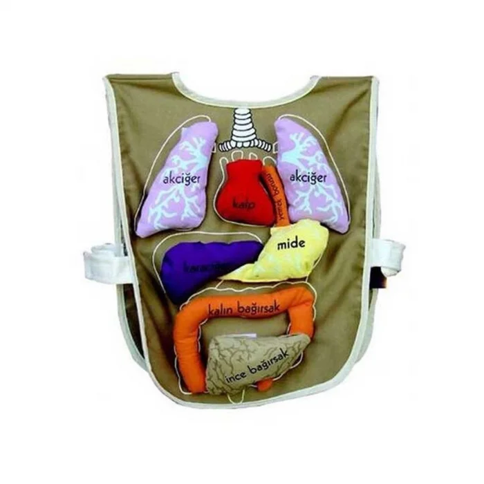  AND-5011 Organ Önlüğü Organlar cırt bantlı