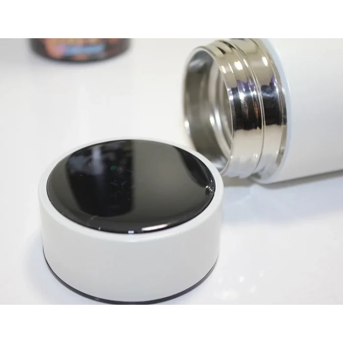 BUĞZ Anime Baskılı Digital Göstergeli Termos 500 Ml Alk383