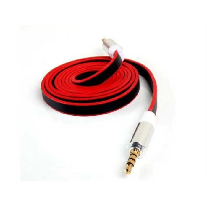 BUĞZ Aux Kablosu 100 cm