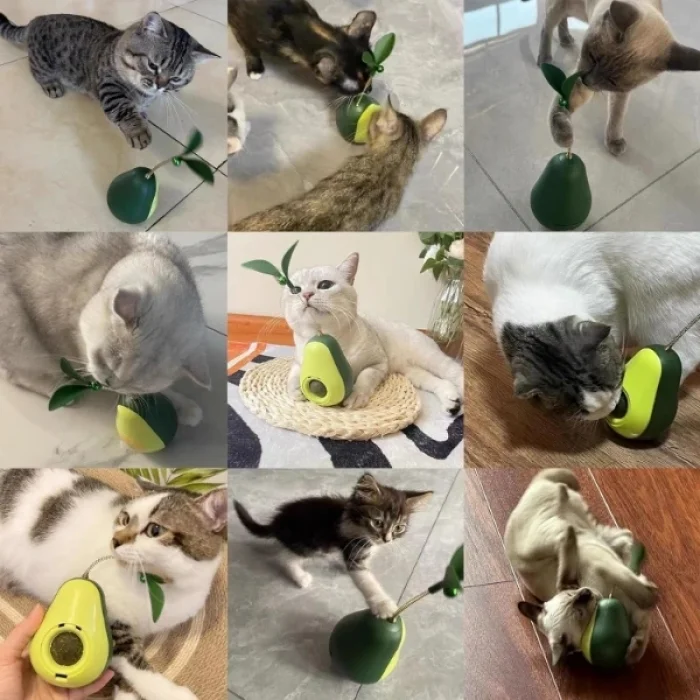 BUĞZ Avokado Şeklinde Kedi Naneli ve Mama Hazneli Kedi Oyuncağı