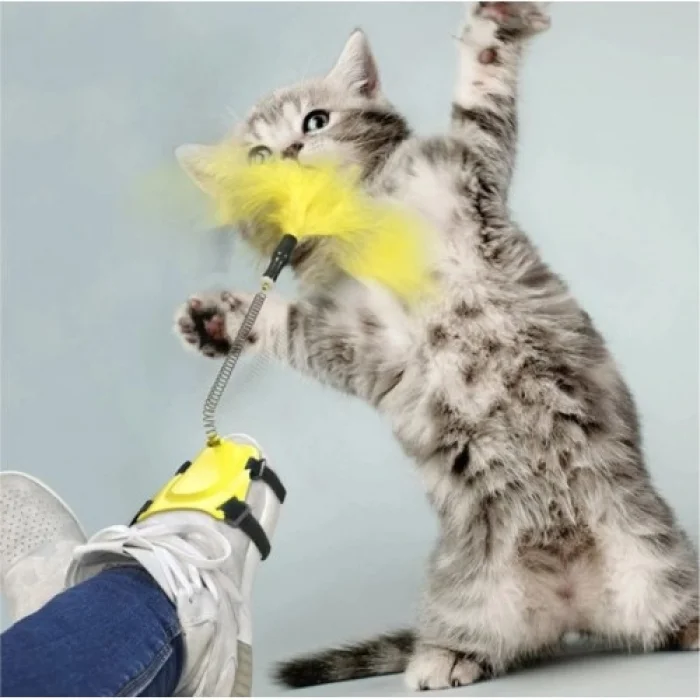 BUĞZ Ayağa Takılan Kedi Oyun Oltası