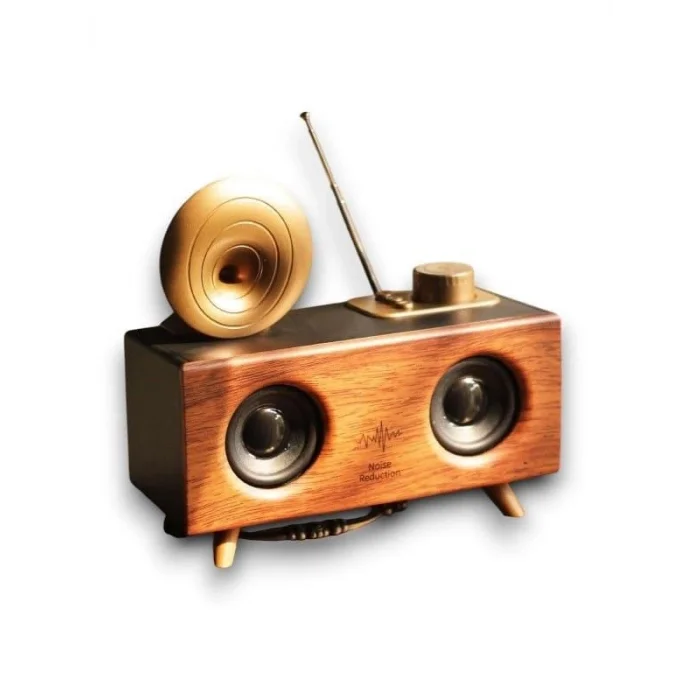 BUĞZ B6 SPEAKER HOPARLÖR