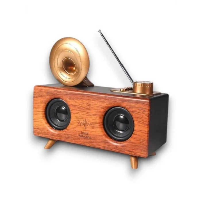 BUĞZ B6 SPEAKER HOPARLÖR - BUĞZ