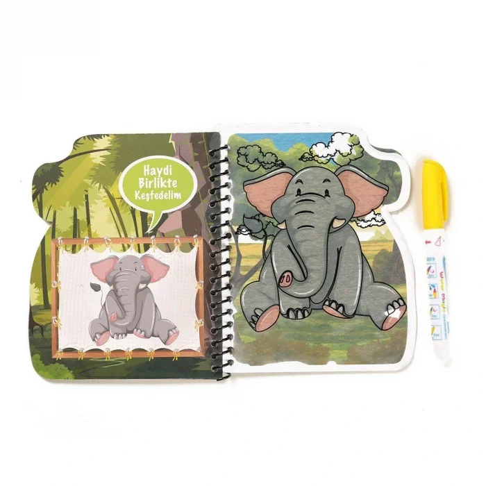 BUĞZ BK002 Gepettoys, Sihirli Boyama Kitabı Çeşitleri