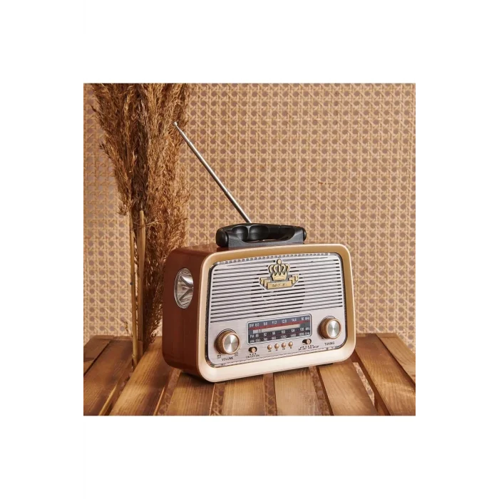 BUĞZ Bluetooth özellikli kahverengi nostaljik radyo FM SD kart AUX girişli 2 yıl garantili