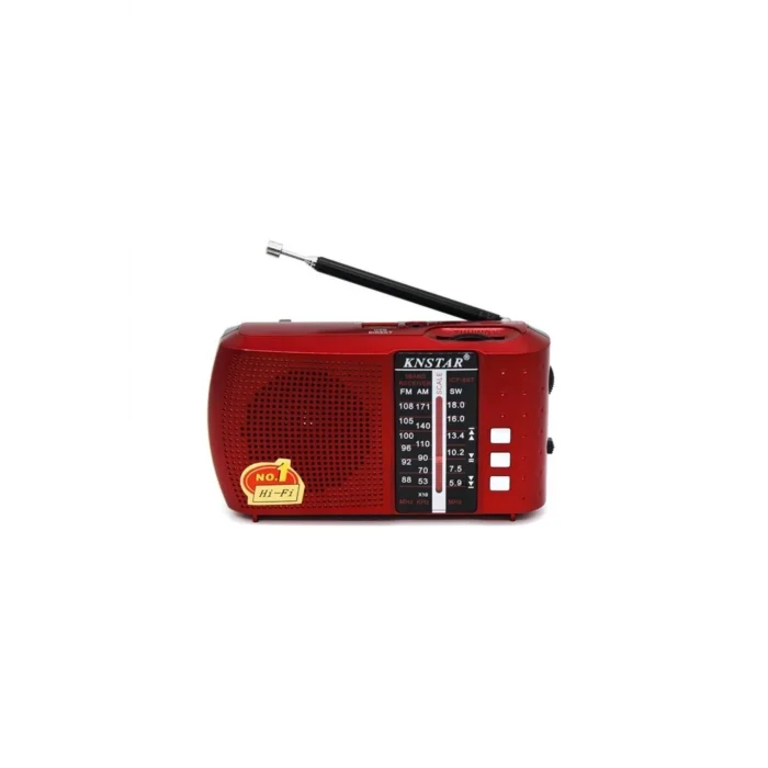 BUĞZ Bluetoothlu şarjlı cep radyosu FM radyo USB TF kart girişli çok renkli 2 yıl garantili