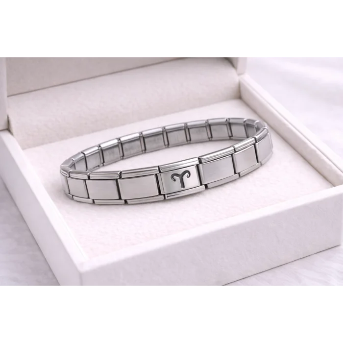 BUĞZ Çelik Nomination Bileklik Koç Burcu | Paslanmaz Çelik Burç Bilekliği | Güçlü ve Şık Tasarım