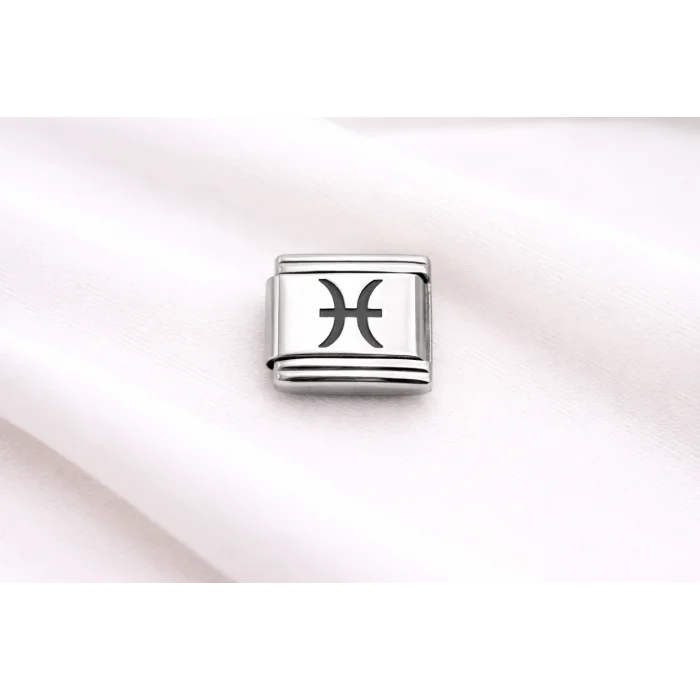 BUĞZ Çelik Nomination Charm Balık Burcu | Paslanmaz Çelik Bileklik Charmı | Burç Temalı Zarif Takı