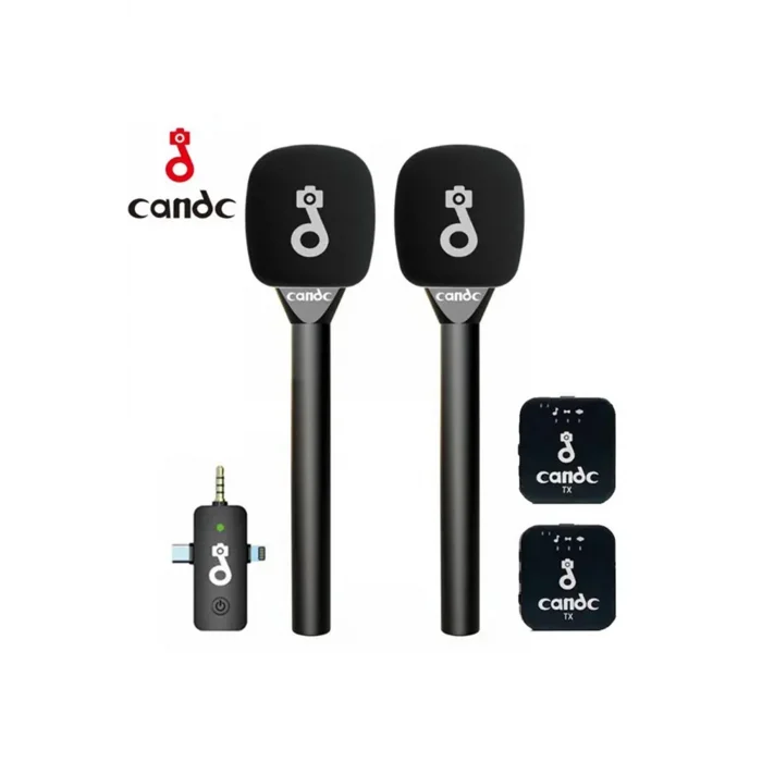 BUĞZ Çift Mikrofonlu Profosyonel Kablosuz Yüksek Kaliteli Ses Kaydı Röportaj Mikrofonu