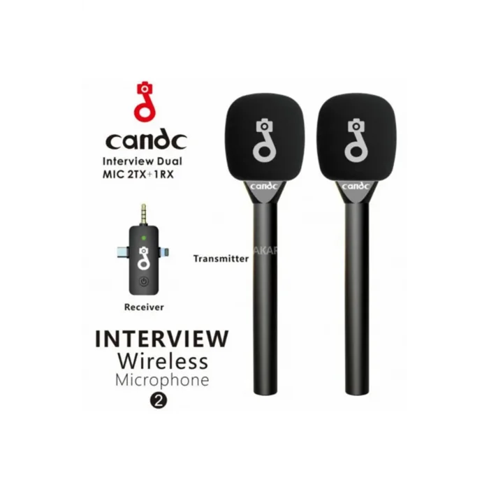 BUĞZ Çift Mikrofonlu Profosyonel Kablosuz Yüksek Kaliteli Ses Kaydı Röportaj Mikrofonu