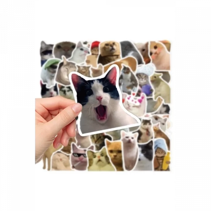 BUĞZ Çılgın Kediler Macbook Notebook Tablet Telefon Ajanda Laptop Defter Sticker Seti