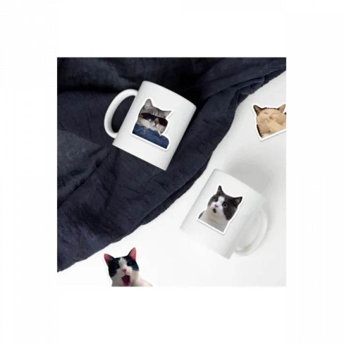 BUĞZ Çılgın Kediler Macbook Notebook Tablet Telefon Ajanda Laptop Defter Sticker Seti