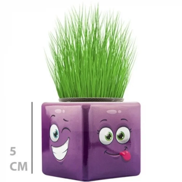 BUĞZ Çim Adam Mini Küp Emoji Figürlü 1 Adet