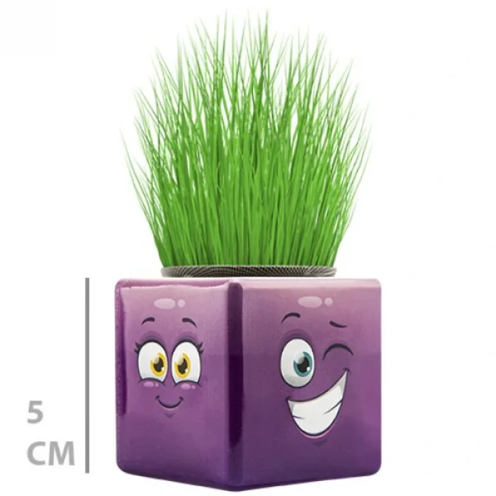 BUĞZ Çim Adam Mini Küp Emoji Figürlü 1 Adet