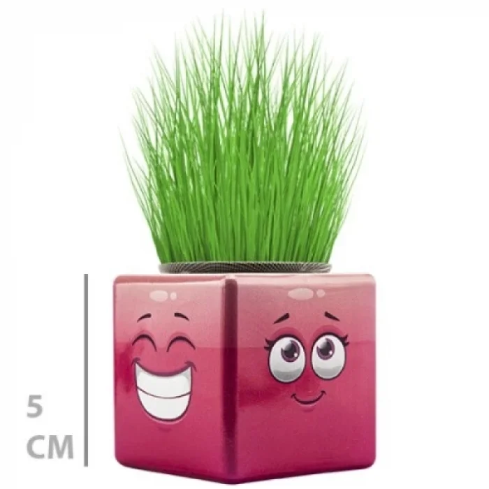 BUĞZ Çim Adam Mini Küp Emoji Figürlü 1 Adet