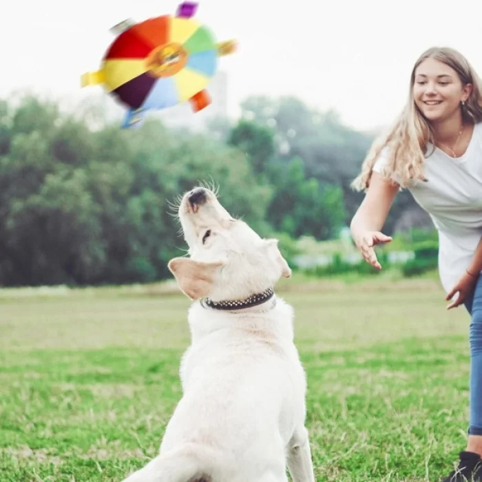 BUĞZ Çıngıraklı Peluş Frizbi Evcil Hayvan Oyuncağı
