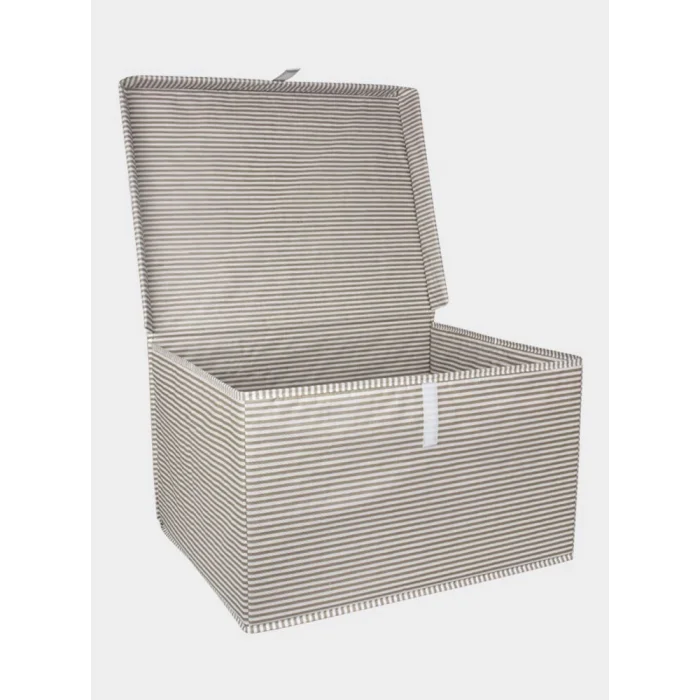 BUĞZ Çok Amaçlı Kapaklı Düzenleyici Kutu Organizer Mini Boy