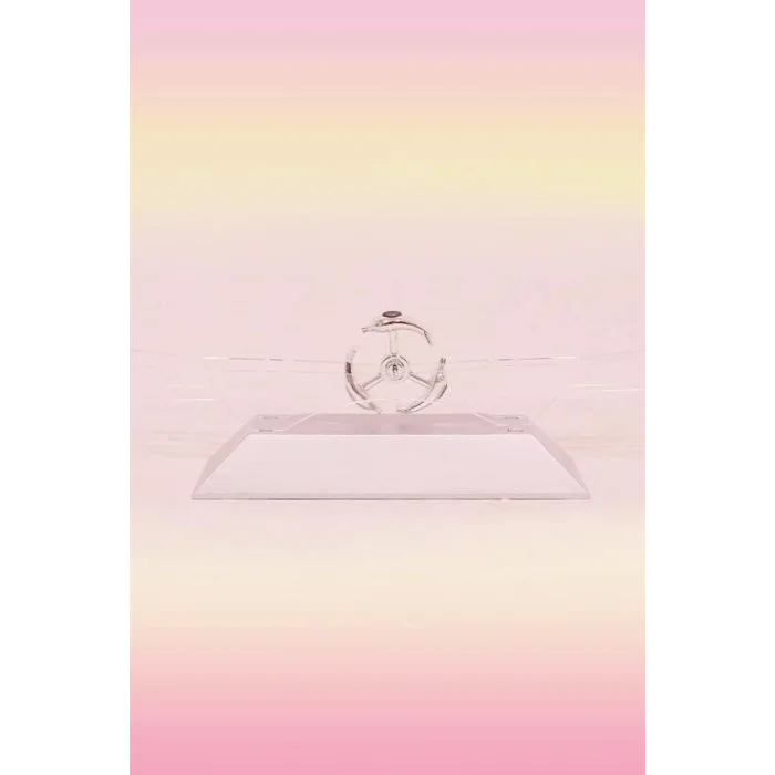  Dekoratif Masa Üstü Obje Manyetik Kinetik Orbital Dönen Yunuslar