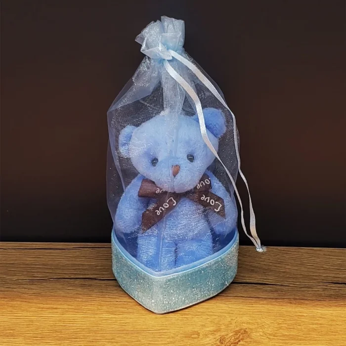 BUĞZ Doğum Hediyesi Kese İçinde Ayıcık