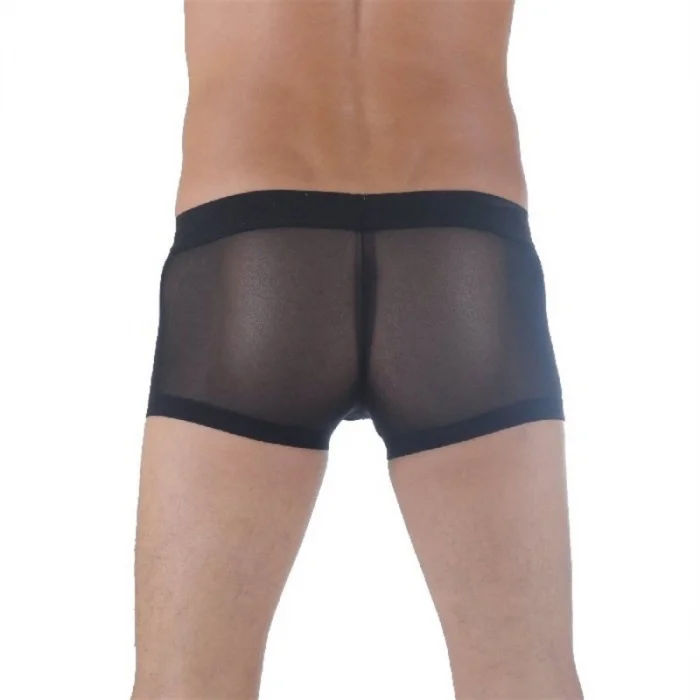 BUĞZ Don Moris DM291137 Transparan Erkek Boxer