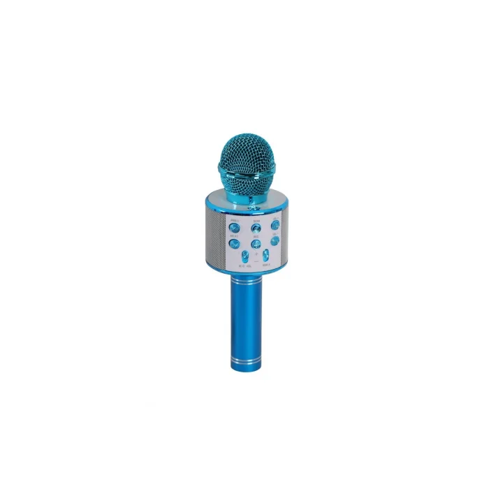 BUĞZ EMR-101 KUTULU KARAOKE MİKROFON