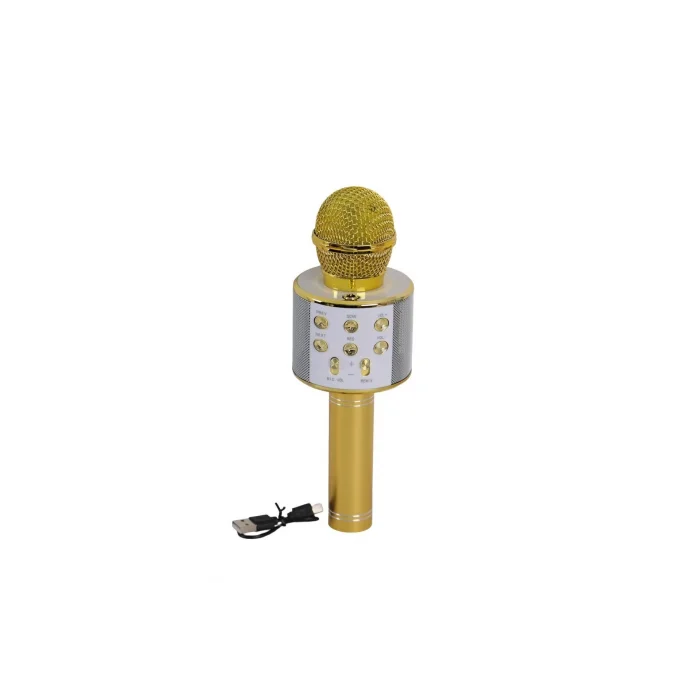 BUĞZ EMR-101 KUTULU KARAOKE MİKROFON