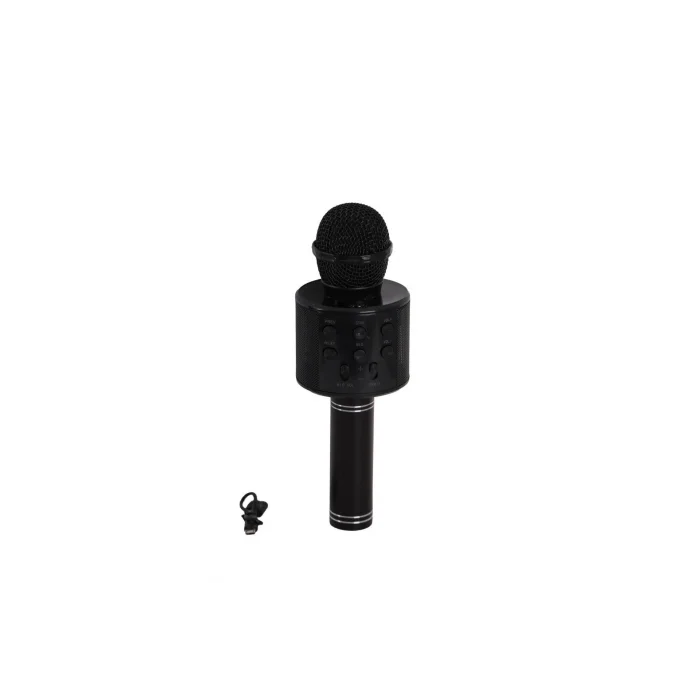 BUĞZ EMR-101 KUTULU KARAOKE MİKROFON