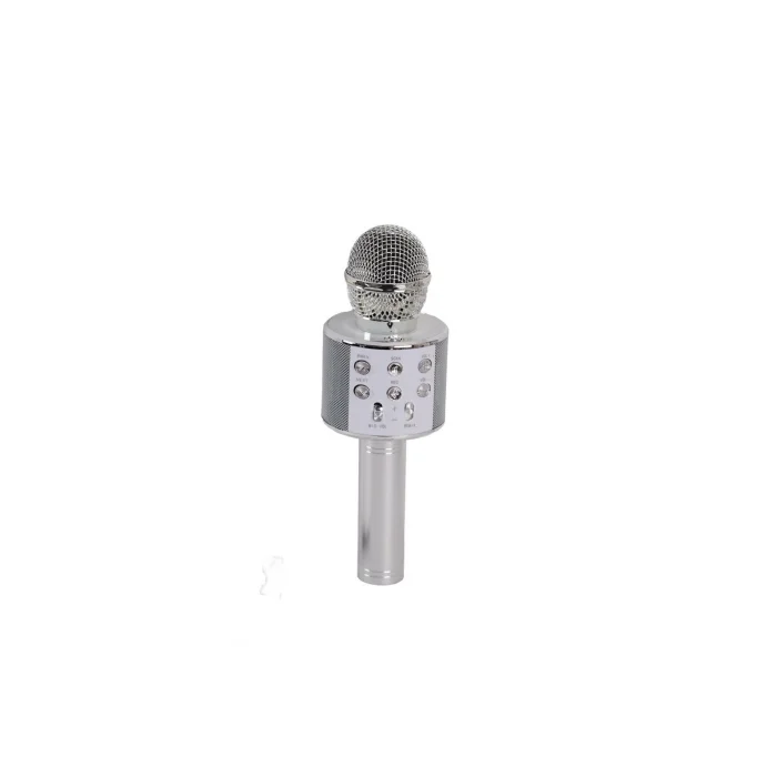 BUĞZ EMR-101 KUTULU KARAOKE MİKROFON