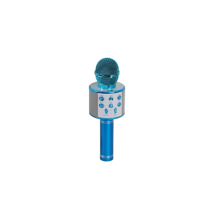 BUĞZ EMR-101 KUTULU KARAOKE MİKROFON